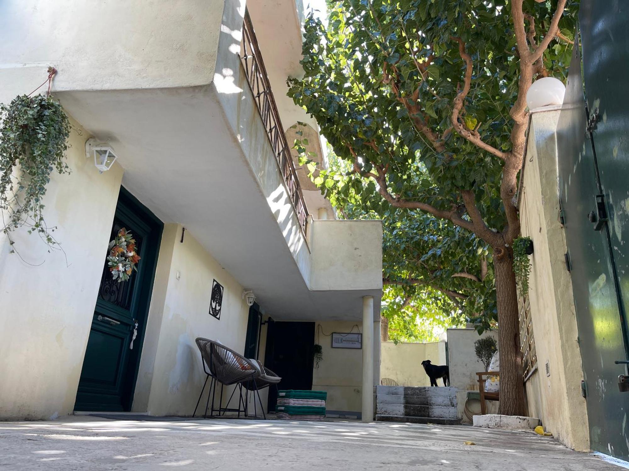 Airport Cottage House أرتيميدا المظهر الخارجي الصورة
